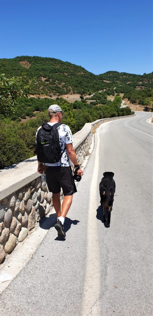 A silent dog walking up the mountain. www.evaogmalthe.dk