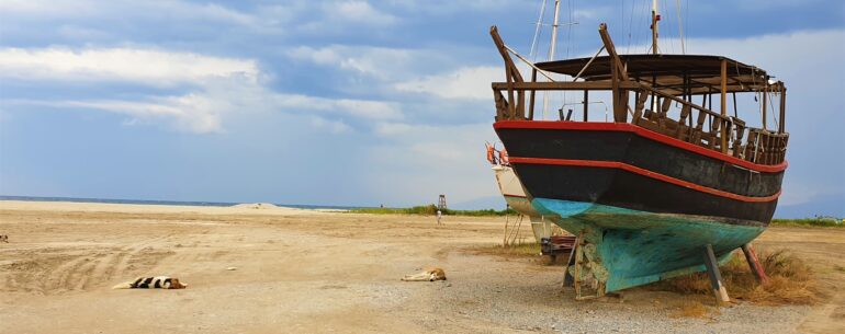 Stray dogs and boat www.evaogmalthe.dk