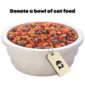 Donating a bowl of cat food www.evaogmalthe.dk